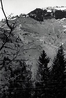 Bauernhäuser: Reschenberg